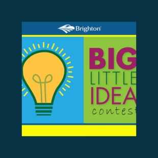 Brighton Big Little Ideas Contest